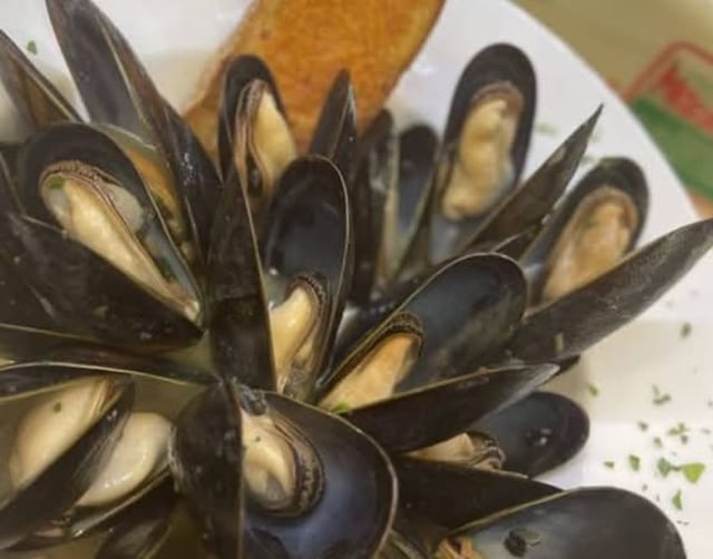 Mussels Marinara Catering.